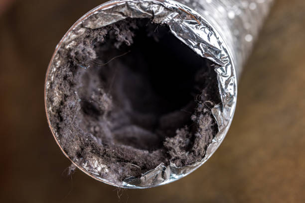 Best Air Duct Sanitizing Services  in Goodview, MN